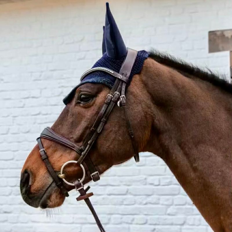 Kentucky Fly Veil Wellington Glitter Stone