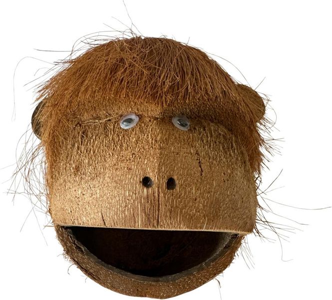 Hovedbilde Coco Monkey 1