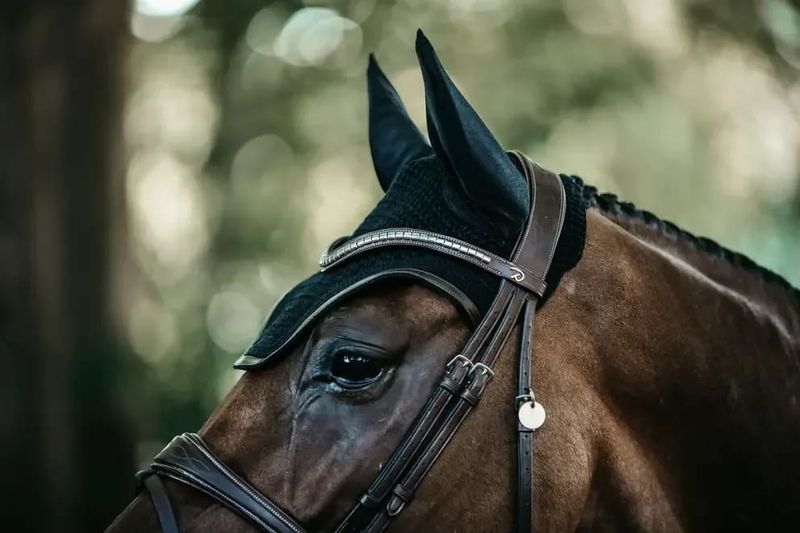 Kentucky Fly veil Wellington Leather 