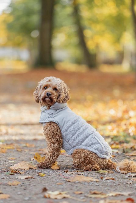 Hovedbilde Trixie Ajou vinterdekken Grå