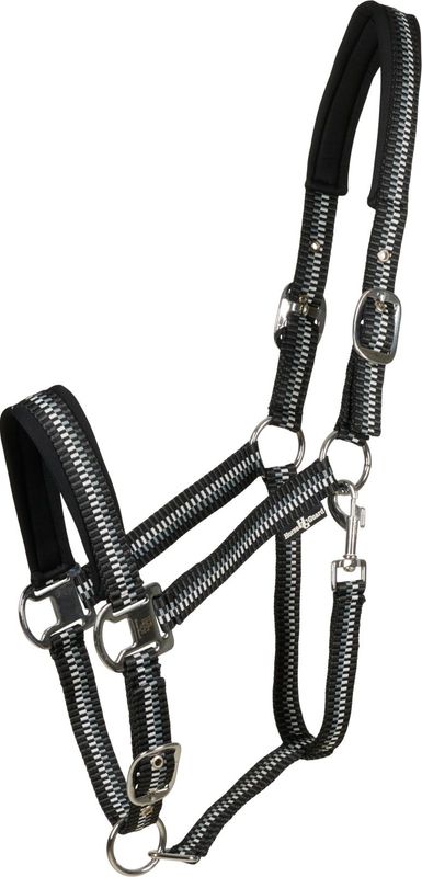 HorseGuard Cole Grime