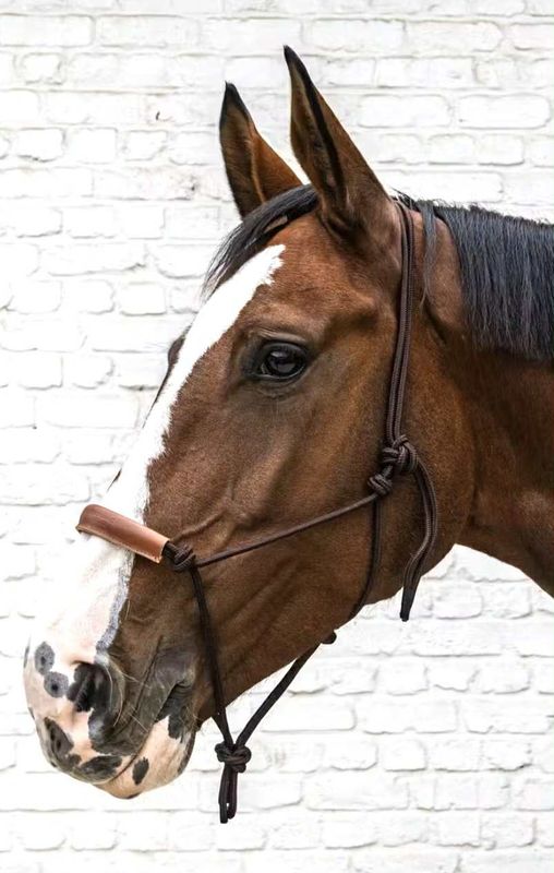 Kentucky Rope Halter