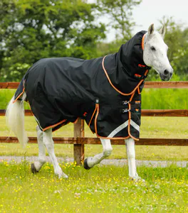 Bilde av Premier Equine 300g Titan Turnout Rug with ...