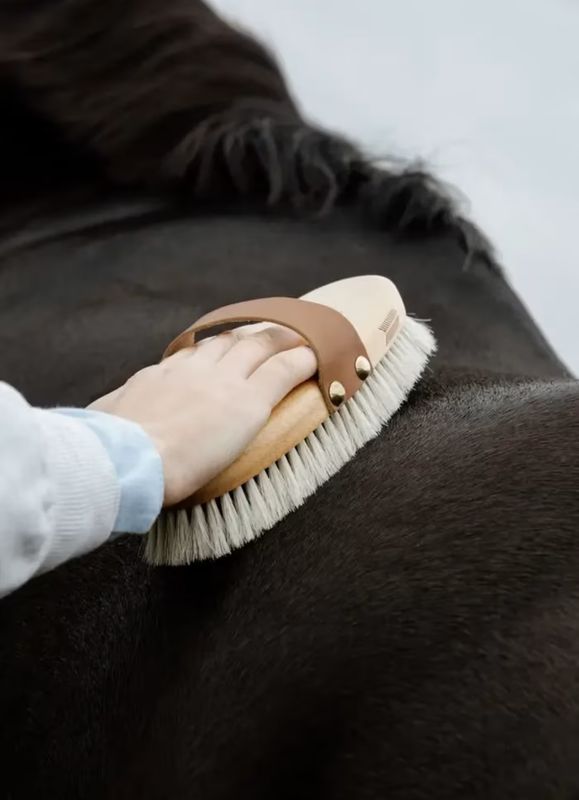 Grooming Deluxe Overall Brush Body Shine