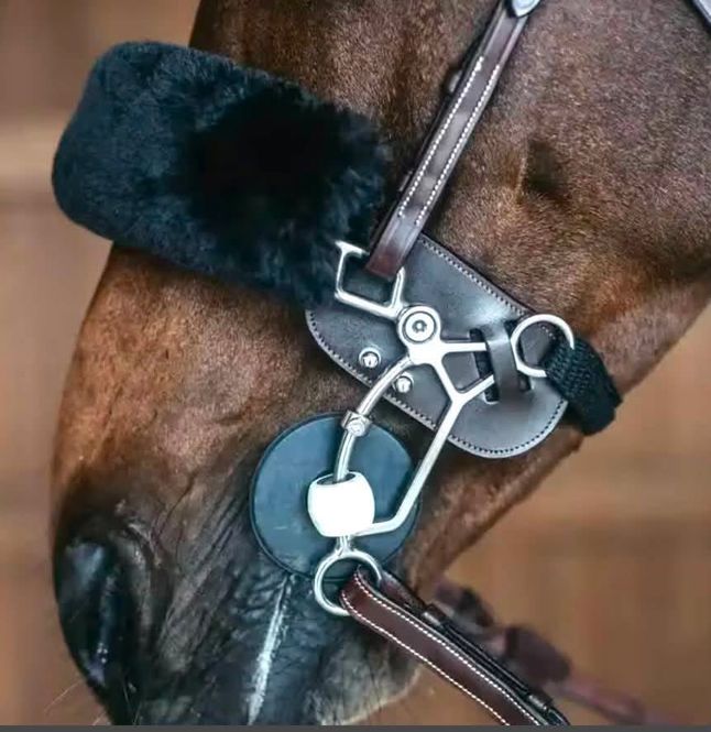 Hovedbilde Dyon Hackamore Protection