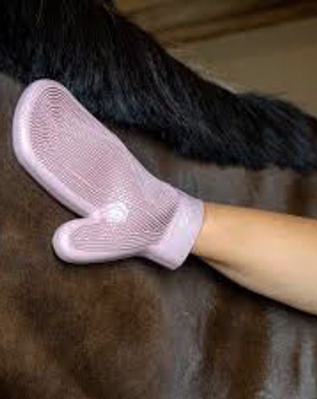 Grooming Deluxe Rubber Grooming Glove