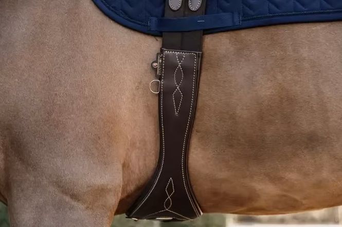 Hovedbilde Kentucky Anatomic Girth