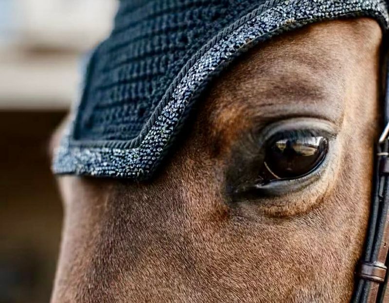Kentucky Fly Veil Wellington Glitter Stone