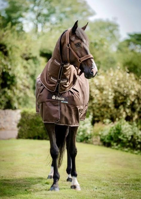 Hovedbilde Bucas Irish Turnout 300g w/Neck