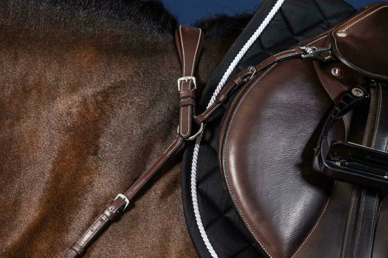 Dyon Anatomical Breastplate US Collection