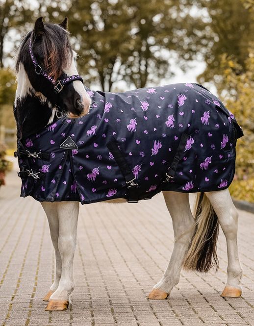 Hovedbilde Turnout Rug Lize