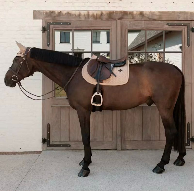 Kentucky Saddle Pad Velvet Mini Pearls