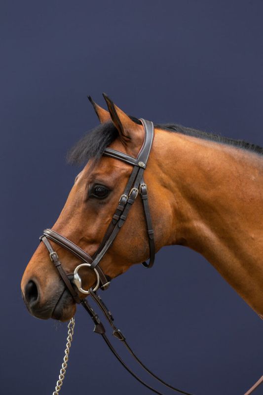 Dyon Flash Noseband Bridle Working By Dyon