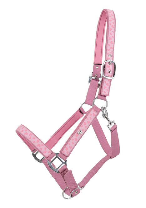 Hovedbilde QHP Lyvia Rosa