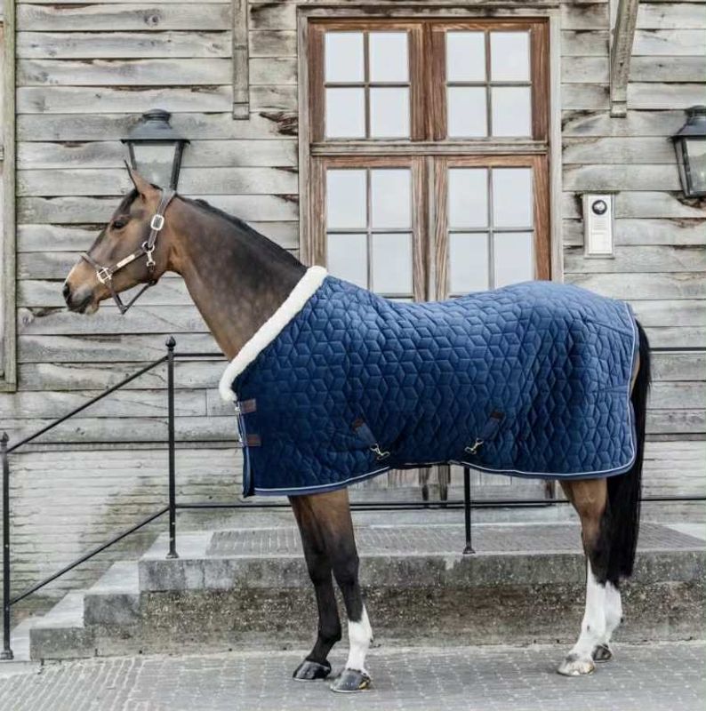 Kentucky Show Rug Velvet