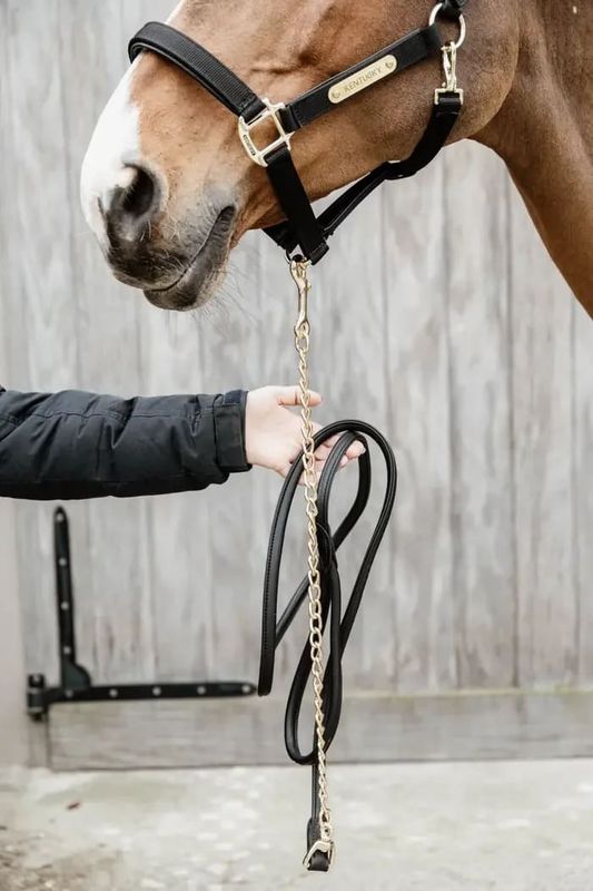 Kentucky Leather Chain Lead -2,7m