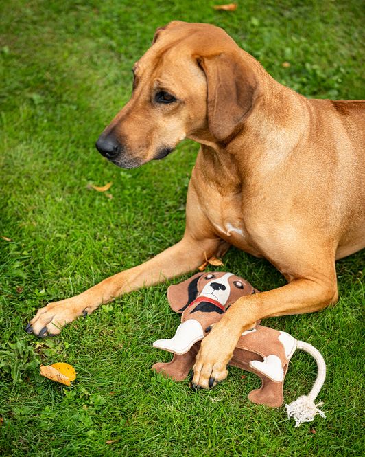 Hovedbilde QHP Dog Toy 3D Stable Buddy