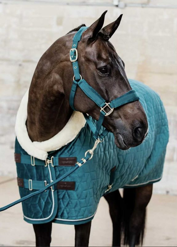 Kentucky Show Rug Velvet