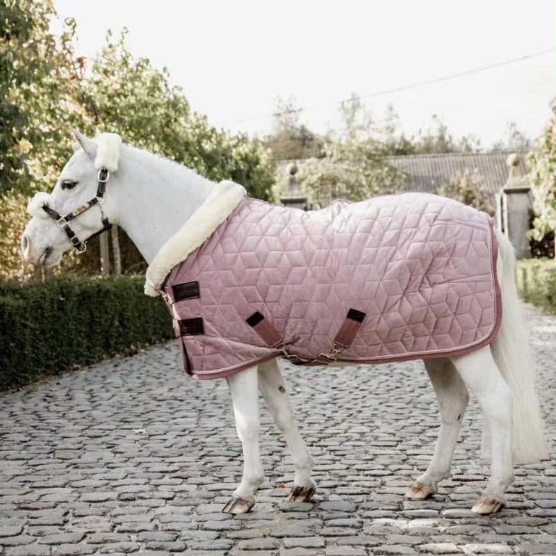 Kentucky Show Rug Velvet