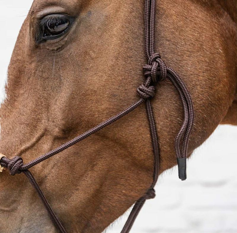 Kentucky Rope Halter