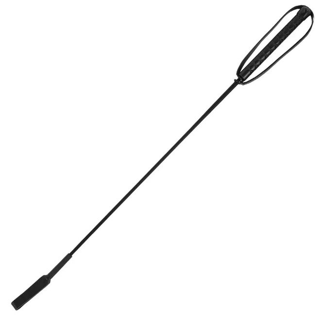 Hovedbilde RS Ridepisk