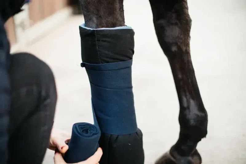 Kentucky Magnetic Bandage Pad Recuptex