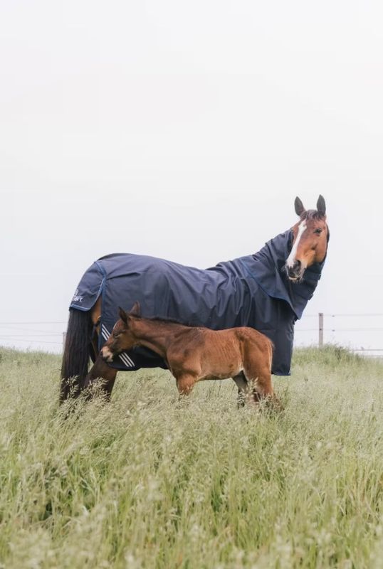 Kentucky Turnout Rug All Weather Waterproof Comfort 200gr