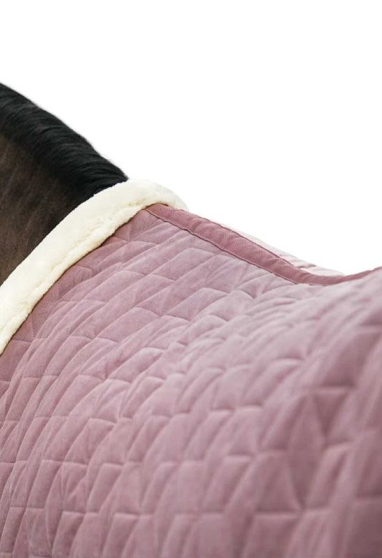 Kentucky Show Rug Velvet