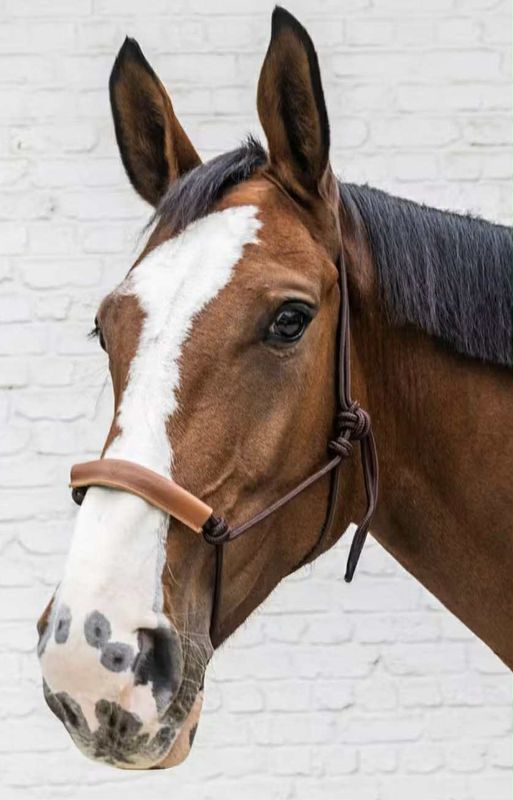 Kentucky Rope Halter