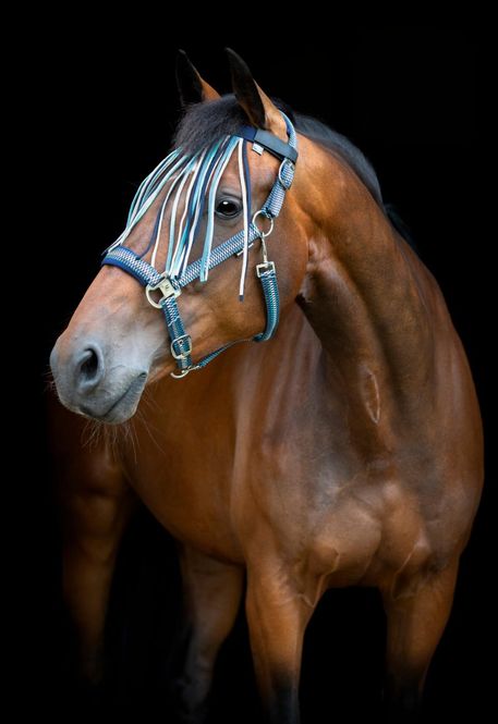 Hovedbilde HorseGuard Cole Fringe