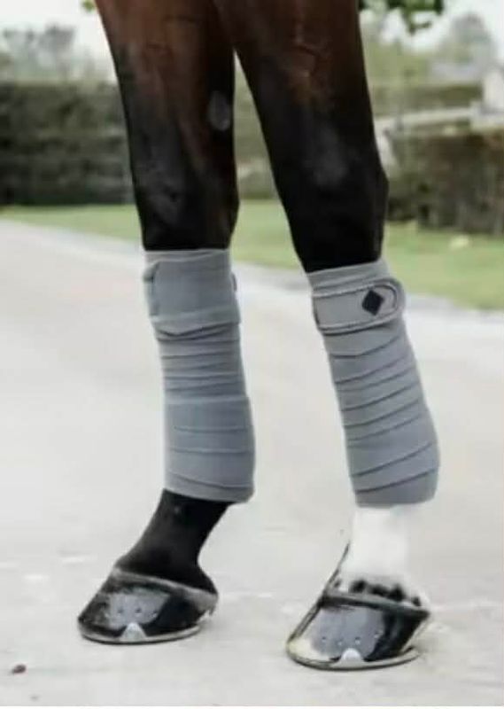 Kentucky Polar Fleece Bandage  Pearls