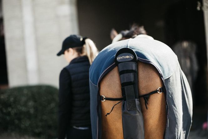 Hovedbilde Kentucky Tailguard / Tailbag