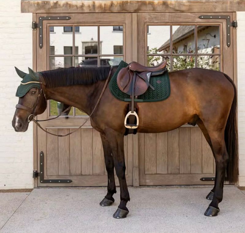 Kentucky Saddle Pad Velvet Mini Pearls