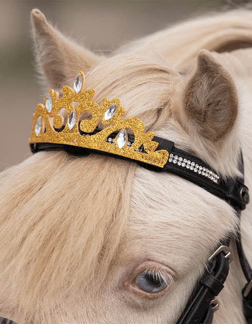 Hovedbilde QHP Krone Gull
