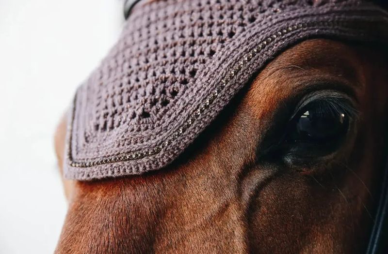 Kentucky Fly veil Wellington Sparkeling