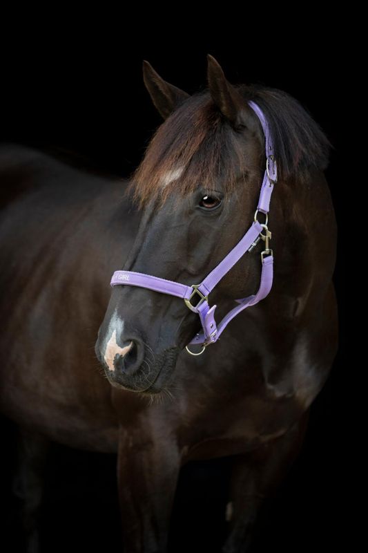 HorseGuard Malva Grime Lilla 